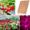 LED Plant Growth Light Indoor Quantum Board Plant Fill Light, Style: D2 25W 81 Beads EU Plug (Pink Purple)