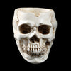Halloween Utensils Resin Skull Ashtray Personality Home Decoration