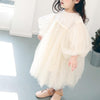 Summer Girls Mesh Tutu Puff Sleeve Dress, Kid Size:100cm(Beige)