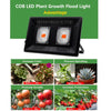100W Ultra-Thin LED Plant Light, Full Spectrum COB Growth Light, Vegetable, Fruit & Flower Greenhouse Fill Light Without Plug