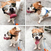 Dog Sunglasses Black, UV Protection, Small/Medium Pets