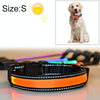 USB Rechargeable LED Dog Collar, Orange, S (35-40cm)