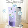 Portable UV Sterilization Anion Air Purifier Car Home Air Humidifier (White)