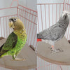 Parrot & Small Pet Wooden Platform 17x17cm