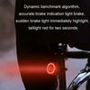 Bicycle Smart Taillight Anti-theft Alarm Brake Warning Light, Model: WL09C Remote Control
