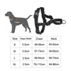 Reflective Dog Harness Purple XL | Nylon Chest Strap Night Safety