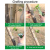 5cm Garden Grafting Tape Fruit Tree Seedling Self-Adhesive Wrap