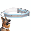 Reflective Blue Velvet Dog Collar - L | Soft & Safe
