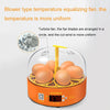 6-Egg Mini Egg Incubator, Automatic, AU Plug