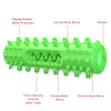 Dog Squeaky Chew Toy with Tooth Cleaning, Floating, Green