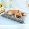 Small Grey Plush Warm Pet Bed for Cats & Small Dogs