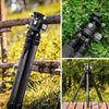 TRIOPO GS2808 Camcorder Photography No Axial Carbon Fiber Tripod Mount Holder with Ball Head, Load: 15KG