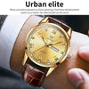 OLEVS 6896 Men Multifunctional Luminous Waterproof Quartz Watch(Gold)