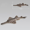 3 PCS Simulation Marine Animal Model Ornaments Serrated Ray