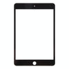 iPad Mini 4 Black Front Glass Lens with OCA Adhesive