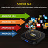 HK1 RBOX-H8S 4K Ultra HD Android 12.0 Smart TV Box with Remote Control, Allwinner H618 Quad-Core, 2GB+16GB(EU Plug)