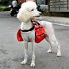 Dog Backpack Harness with Lead, Red, Small