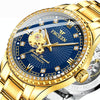 FNGEEN 8073 Men Automatic Mechanical Watch Diamond Hollow Fashion Watch(Full Gold Black Surface)