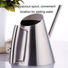 Household Gardening Stainless Steel Long Spout Watering Pot, Size: 900ML