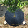 62x7cm Ecological Anti-Grass Non-Woven Cloth Gardening Floor Cover Cloth Breathable Moisturizing Can Reduce Fruit Garden Film(Black)