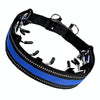 Blue Dog Training Chain Collar - Medium - 50cm