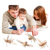 5 PCS MQY005 Children Educational Early Education DIY Hand-Assembled 3D Animal Model Puzzle Toy(Cicada)