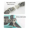 Breathable Mesh Dog Harness with 2m Leash, Blue, S