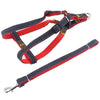Strong Denim Dog Leash & Chest Strap Set, Red, S