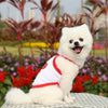 Red Dinosaur Mesh Vest 2 Pack - Breathable Pet Clothes XL