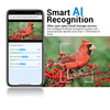 2MP WiFi Solar Bird Box Camera with AI Bird Recognition & Night Vision