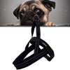 Reflective Dog Harness & Lead, Black, S (2*50*62cm) - Small Dogs