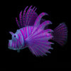 Silicone Lionfish Aquarium Ornament, Purple, Glowing, 11.5cm