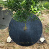 72x8cm Ecological Anti-Grass Non-Woven Cloth Gardening Floor Cover Cloth Breathable Moisturizing Can Reduce Fruit Garden Film(Black)