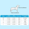 XXS Pink Breathable Mesh Dog Harness & Leash Set - Summer Puppy Vest