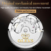 OLEVS 6607 Multi-function Men Big Flywheel Automatic Waterproof Mechanical Watch(Black)