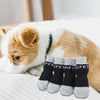 Dog Socks 4 Pack, Anti-Slip, Cotton, Indoor, Dark Grey, Medium