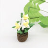 1:12 Mini Doll House Toy Simulation Yellow Cattleya Flower Model(Yellow)
