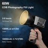 PULUZ 60W Studio Video Light 2500K-6500K Dual Color Temperature Professional Photography Fill Light (Black)