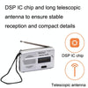 BAIJIALI BJL-R28 Elderly Portable Portable Retro Radio AM / FM Two Band Radio(Silver Gray)