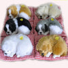 Simulation Will Call the Sleeping Dog Ornaments Toy Creative Doll Children Gift(Samoyed)