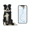 V41 2G Pet GPS Tracker - Waterproof IP67 Dog/Cat Location Tracker (Black)