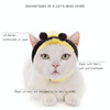 Soft Velvet Tiger Cat Hat XS (19-24cm) - Cats & Small Dogs