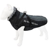Reflective Dog Coat XL Grey - Waterproof, Warm Winter Jacket