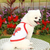 Red Dinosaur Mesh Vest 2 Pack - Breathable Pet Clothes XL