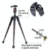 BEXIN MS03 Portable Aluminum Mini Travel Tripods for DSLR Camera Smart Mobile Phone