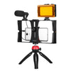 PULUZ 4 in 1 Vlogging Live Broadcast LED Selfie Light Smartphone Video Rig Kits with Microphone + Tripod Mount + Cold Shoe Tripod Head for iPhone, Galaxy, Huawei, Xiaomi, HTC, LG, Google, and Other Smartphones(Red)
