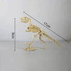 Assembled Tyrannosaurus Skeleton Archaeological Excavation Toys Simulation Fossil Model Manual Toys