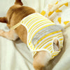 Dog Anti-Harassment Pants, Yellow & White, Size S