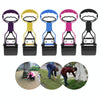 Long Handle Poop Scoop for Dogs & Cats - Blue