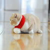 Christmas Dog Scarf XL | Wool | Large/Medium Breeds